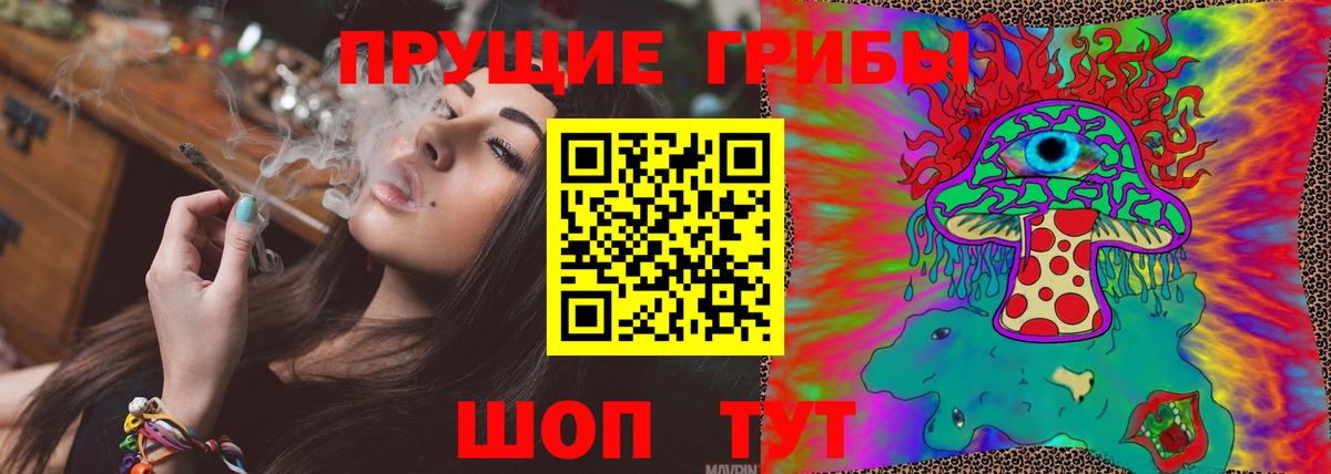 купить наркотики цена  Псилоцибиновые грибы мухоморы  Вход с VPN  Черногорск 